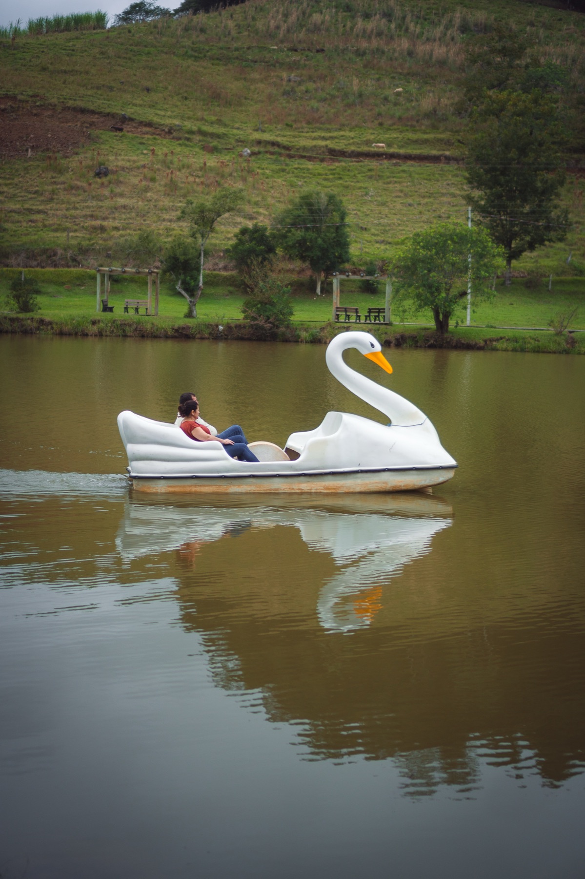 Pedalinhos no lago